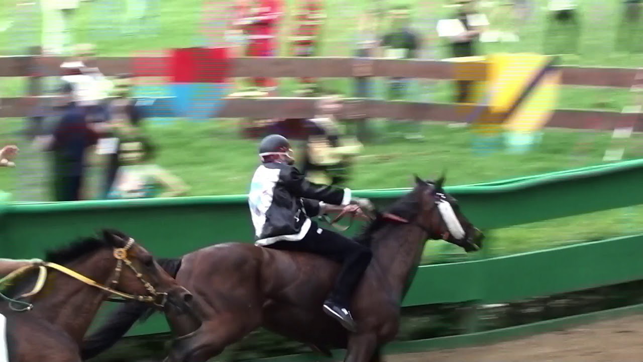 Il Palio di Ferrara - ediz. 2018