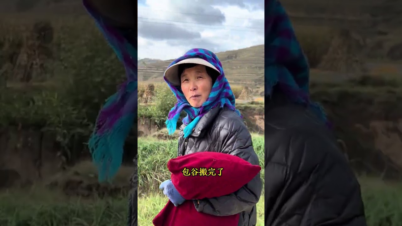 连续不断的秋雨让所有农民都愁的不行，地里庄稼都成熟了，玉米棒子也掉下来了，荞麦再不收就全部落在地里了，终于等到太阳洒满了山坡，我们也看见了希望。 #三农 #会宁王能干 #粒粒皆辛苦