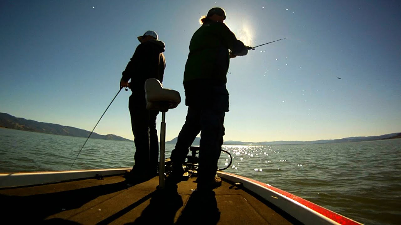 Rod and Reel: Maintenance, Tuning, and Cleaning