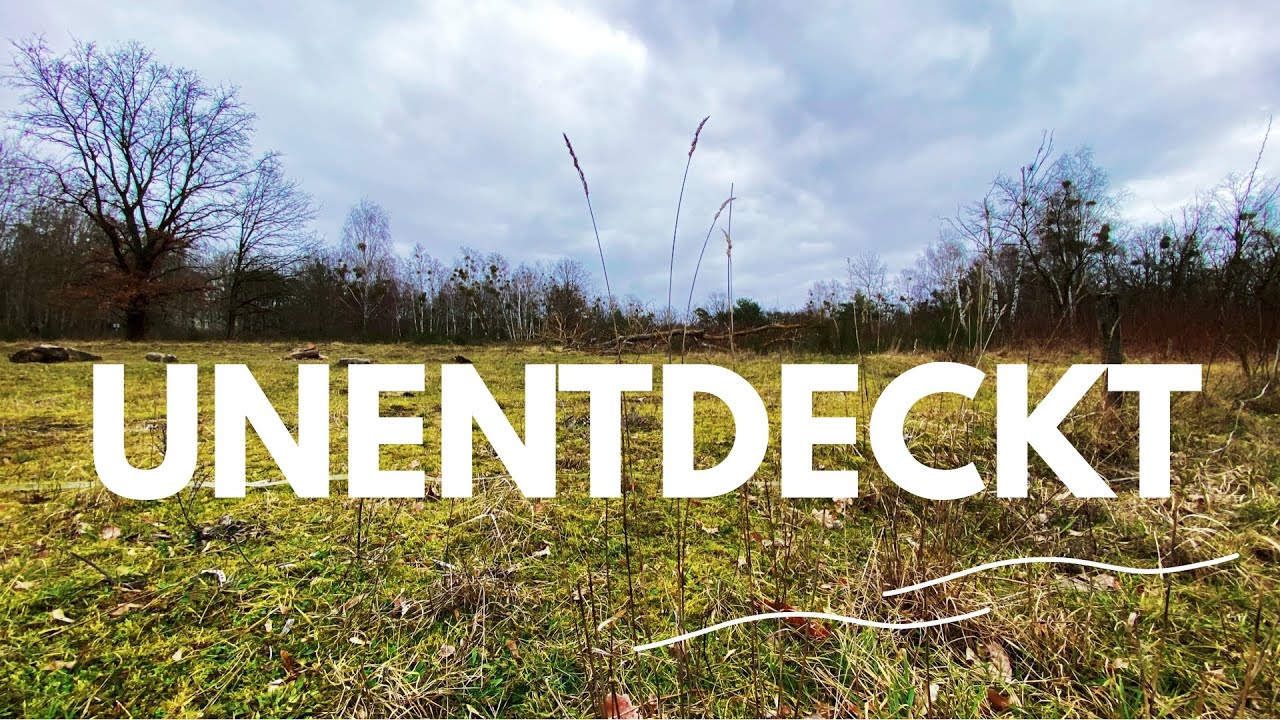 Übersiehst du den Schatz vor deiner Tür? | Döberitzer Heide | Brandenburg 🌲