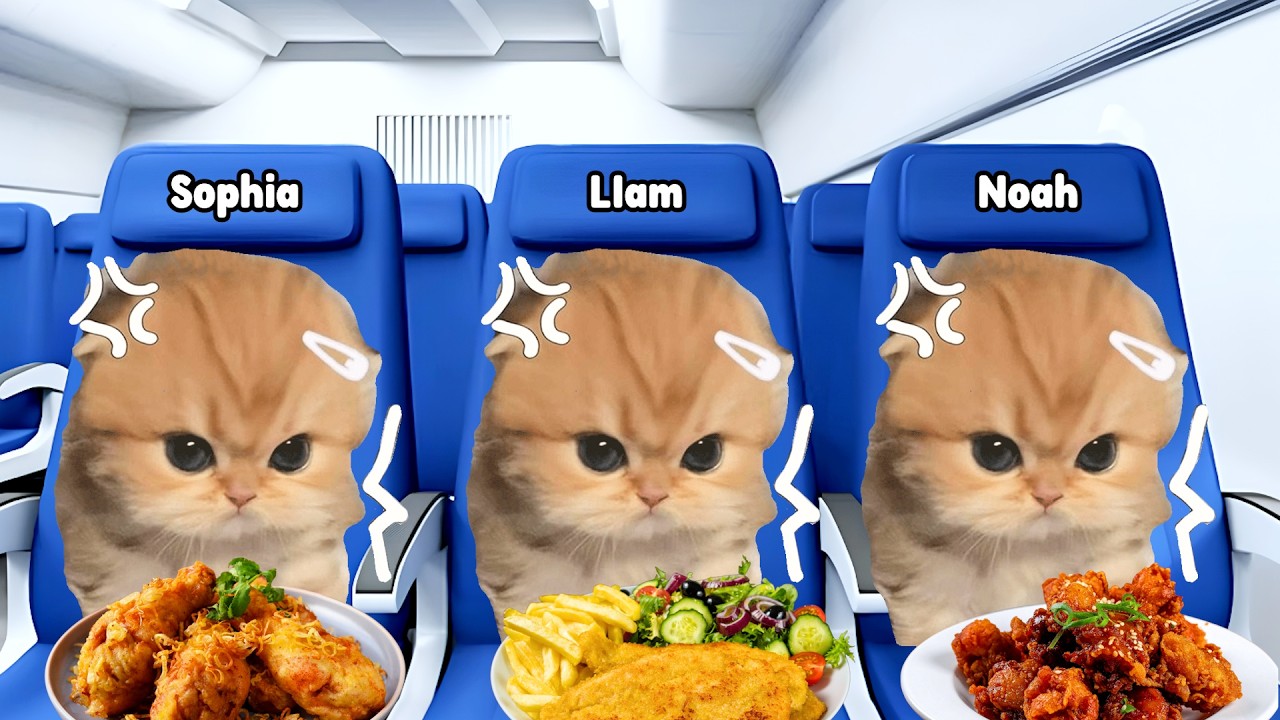 CAT MEMES Family Vacation Trip Compilation