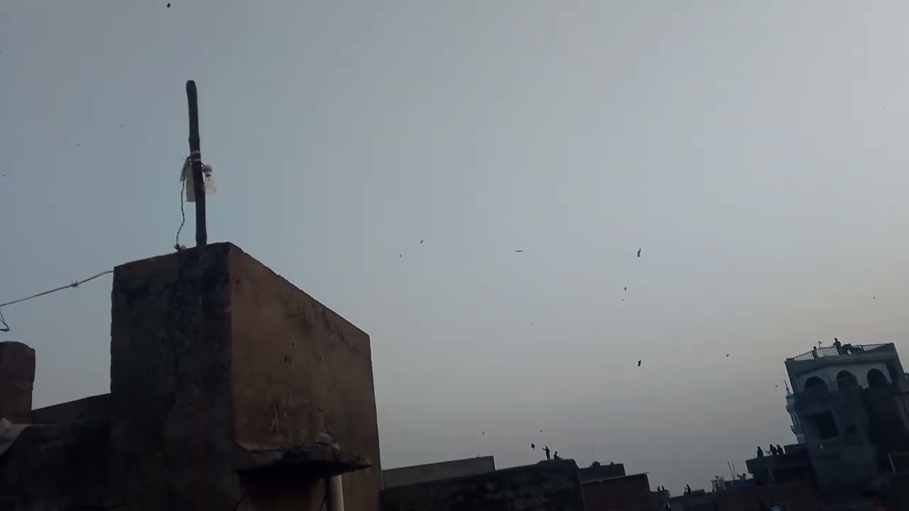 Basant vibes#friday#2026