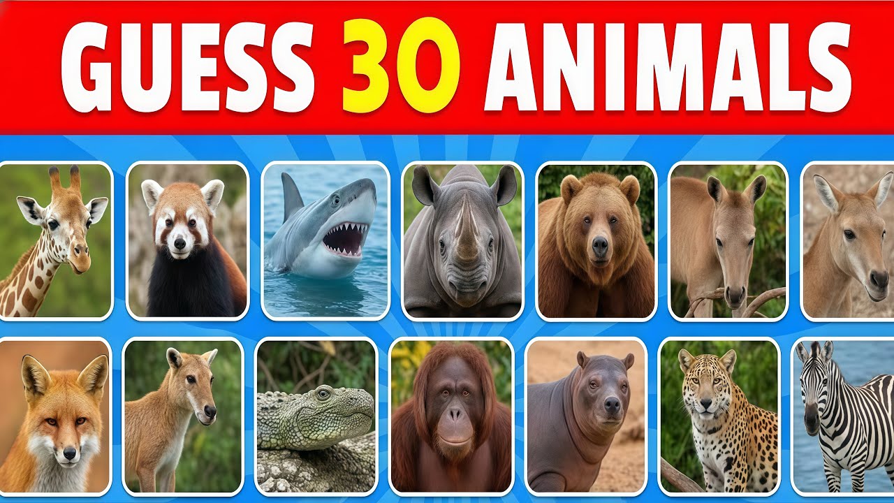 🤯 GUESS THE ANIMAL QUIZ! 30 Animals in 5 Seconds Challenge (ULTIMATE TRIVIA) | SPIDEY QUIZ