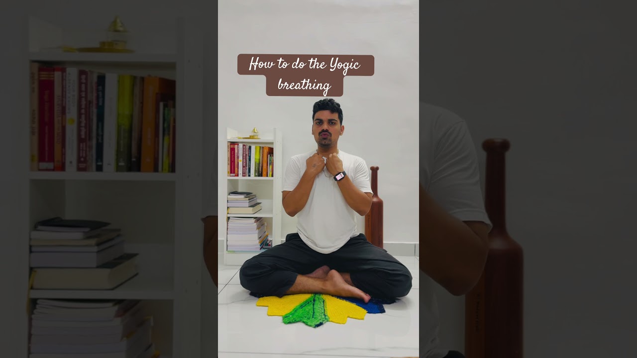 How to do the Yogic Breathing #yogi #yogicbreathing #breathingexercises #breathingtechniques #shorts