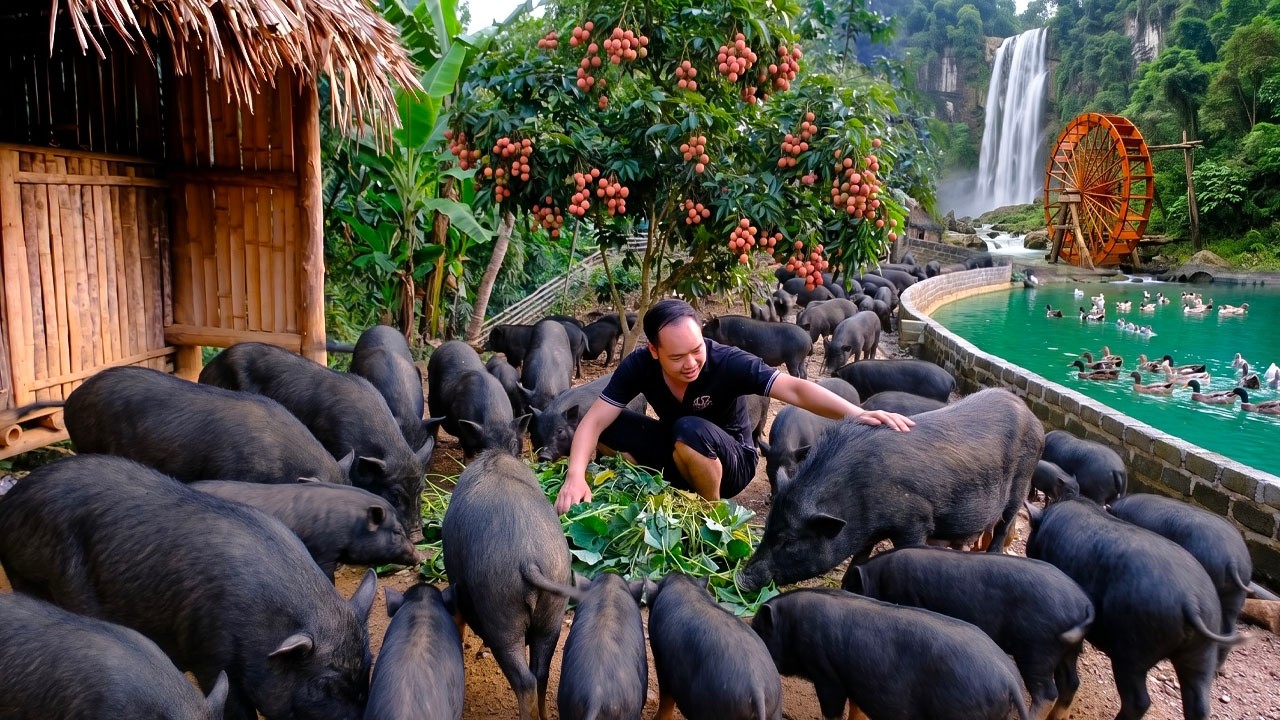 A Self-Sufficient Life: A Man Makes His Own Roof Tiles and Cares for His Pigs.|Primitive Skills