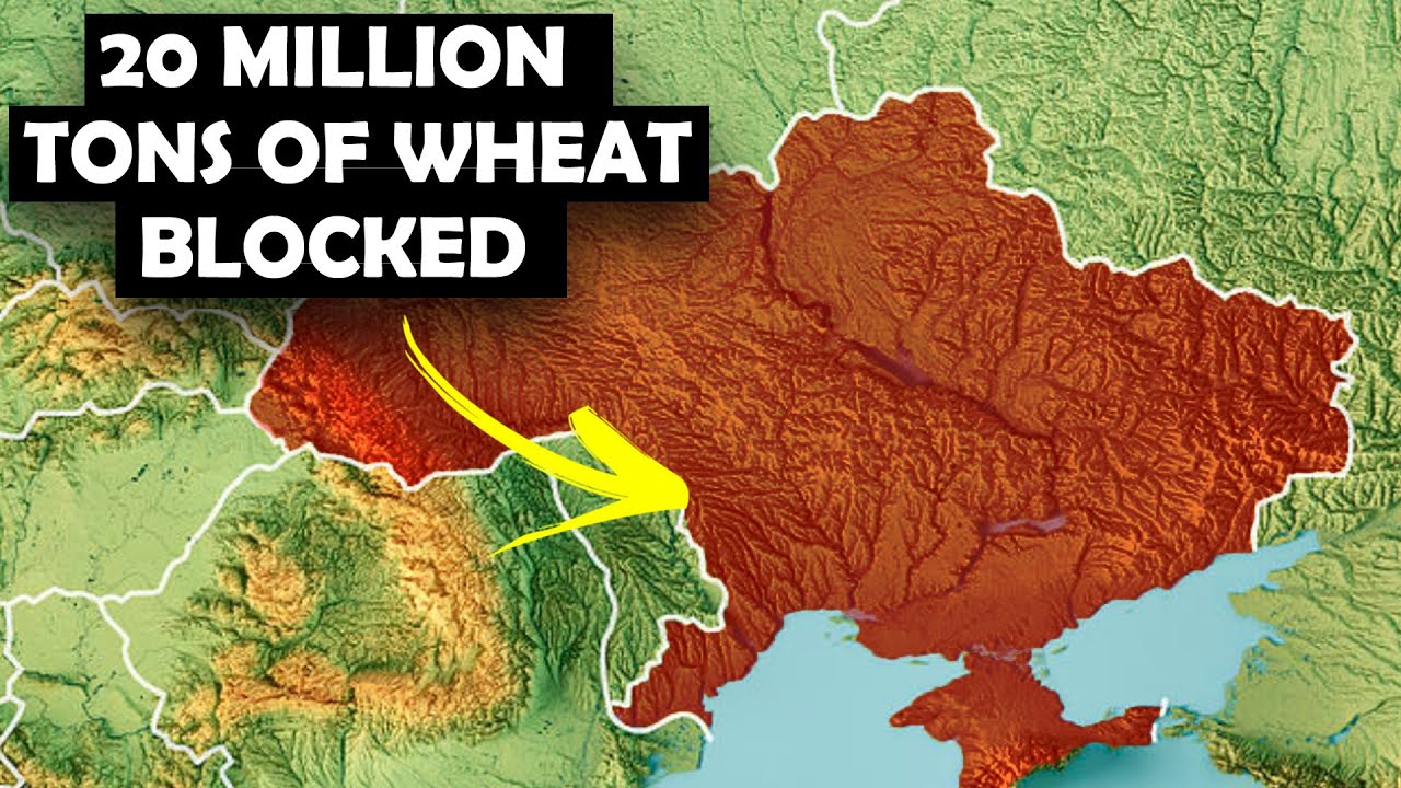 The Economic Impact of the Russia Ukraine Conflict