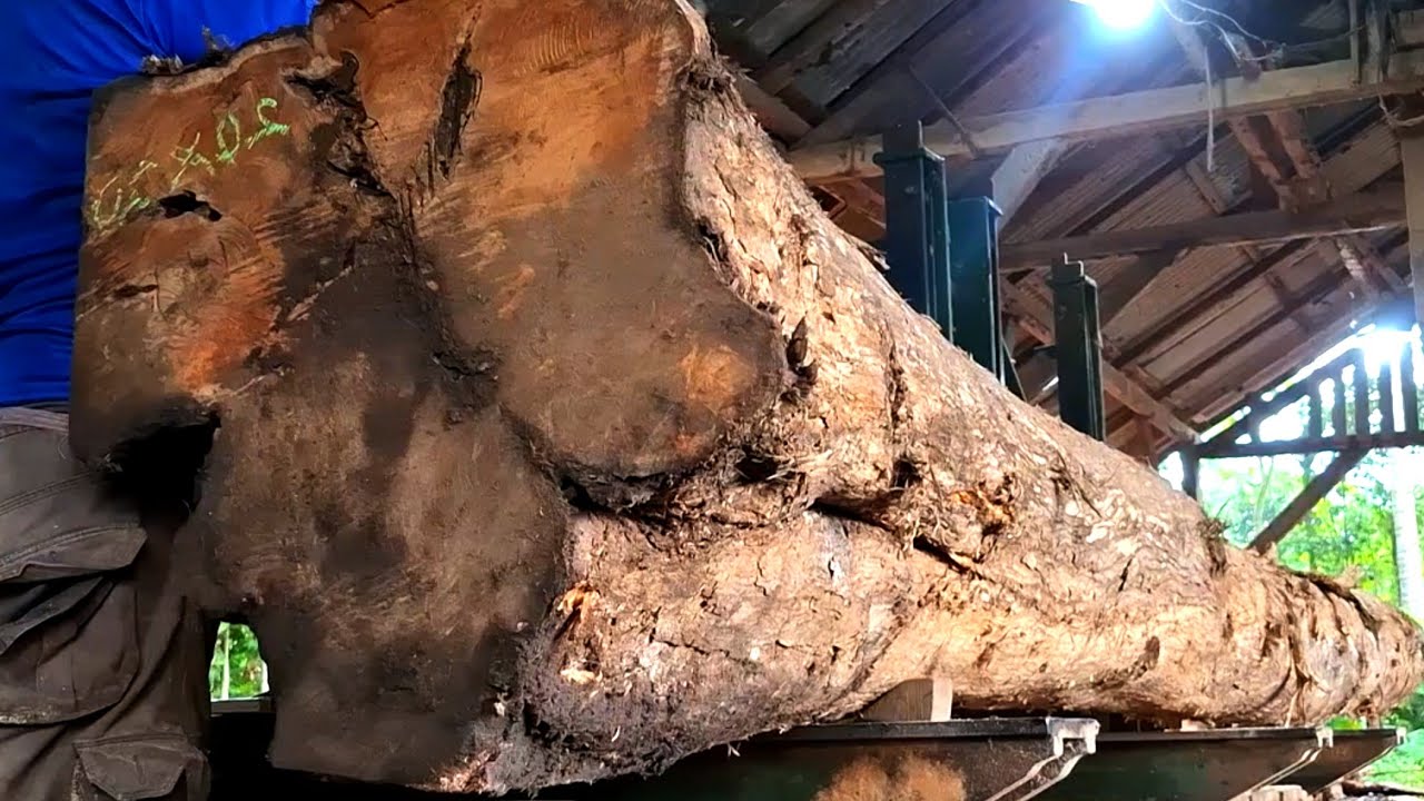 Beautiful long teak wood cuts sent from the slopes of Merapi 