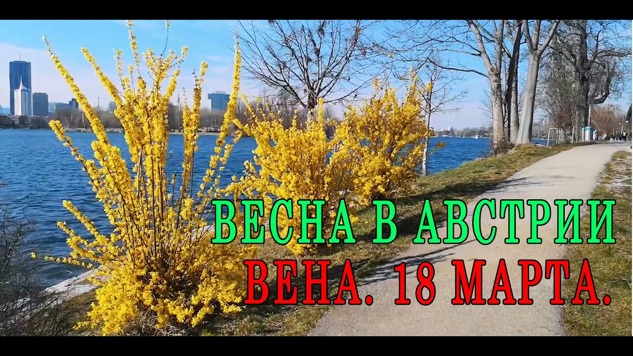 АВСТРИЯ. ВЕНА 18 МАРТА..ПРОСТО ВЕСЕННЕЕ НАСТРОЕНИЕ....