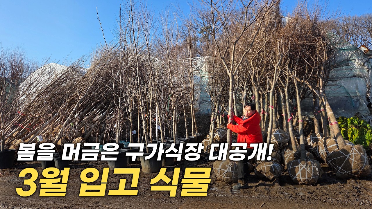 대림원예종묘 구가식장에 새로 들어온 식물들이?!🌱