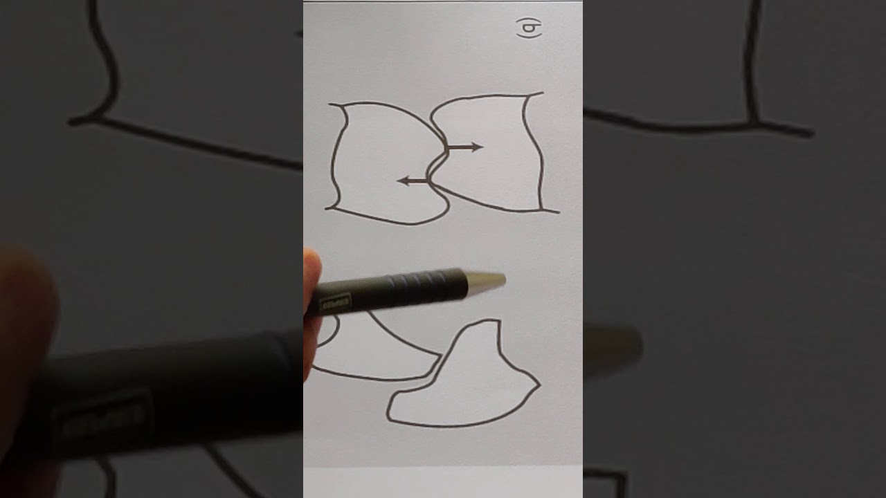 Long Centric Illustration 1