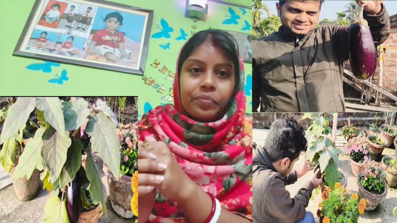ছাদ বাগানের সব্জি দেখে আমি ভীষন খুশী। সেই খুশী ভাগ করে নিতে এলাম তোমাদের কাছে।daily vlog 