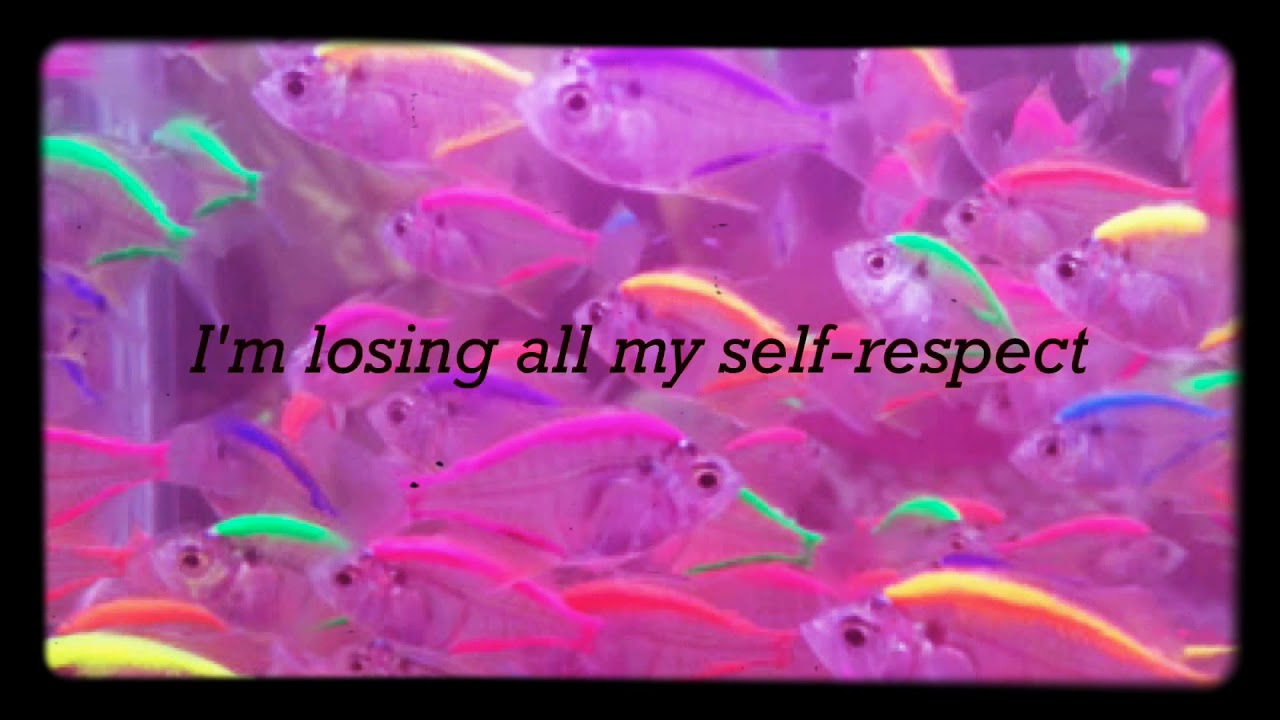 NOAHFINNCE - STUPID - LYRICS