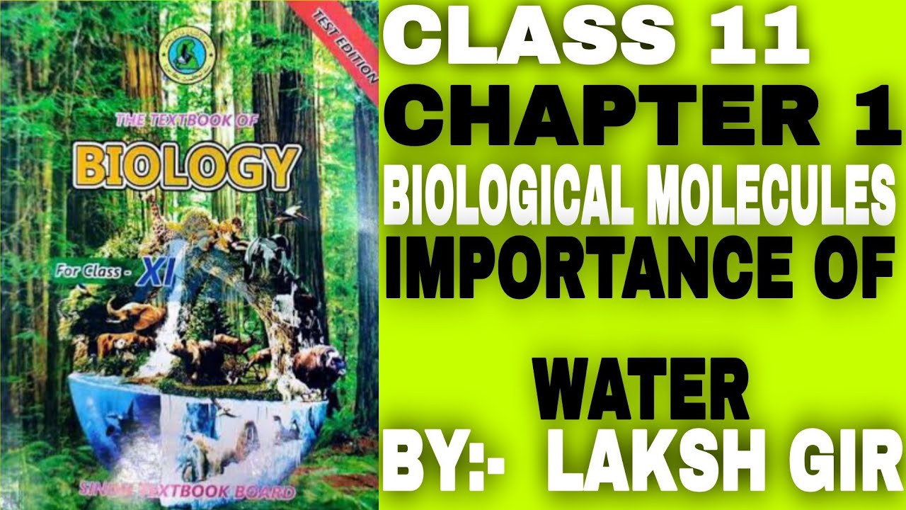 Importance Of Water || Class 11 Chapter 1 Biological molecules || Class 11 || 