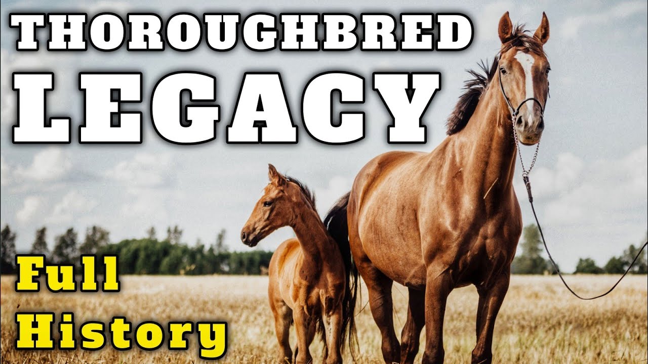 The History of Thoroughbred Horses: Speed Power and Prestige #horseracing  #darleyarabian #horse