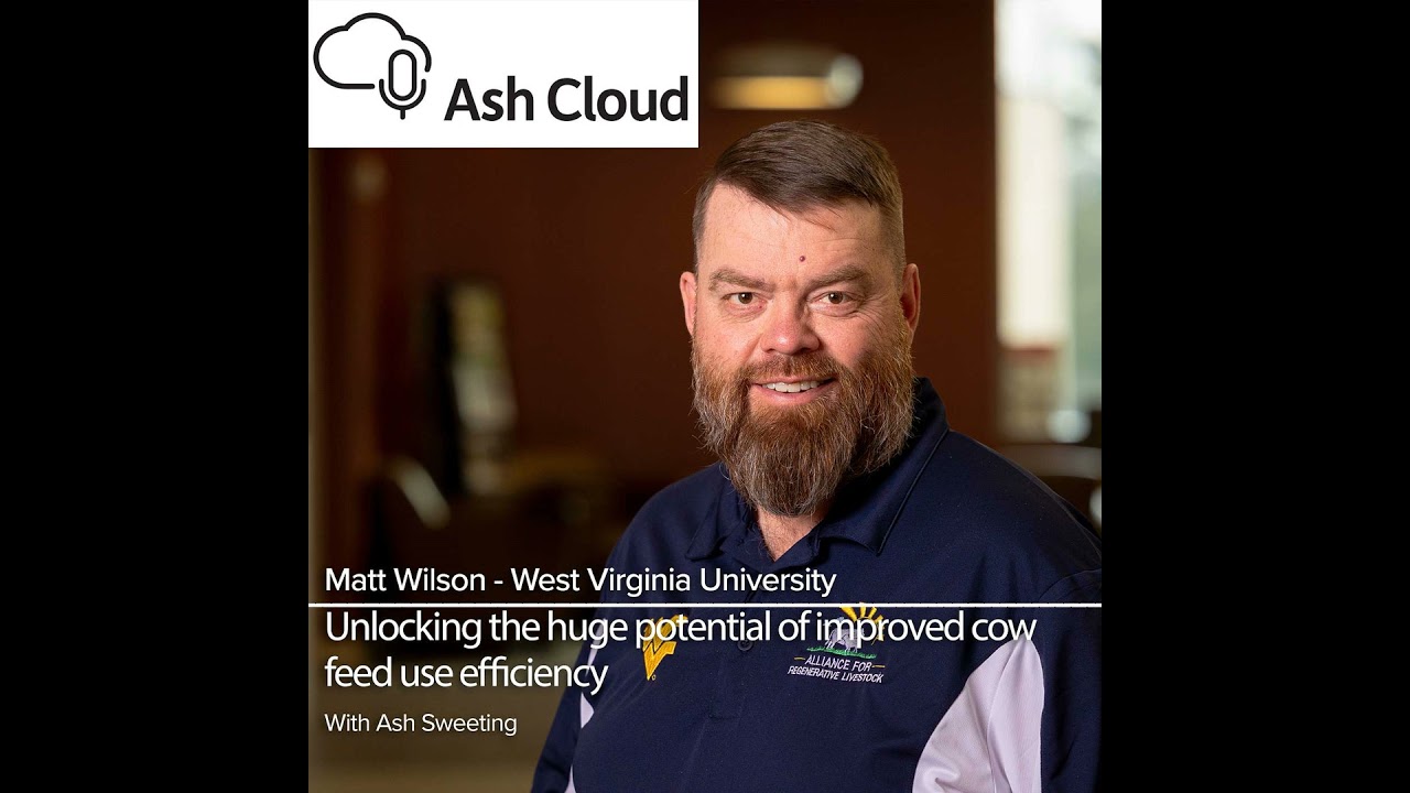 How to save $600 per cow per year in feed costs.