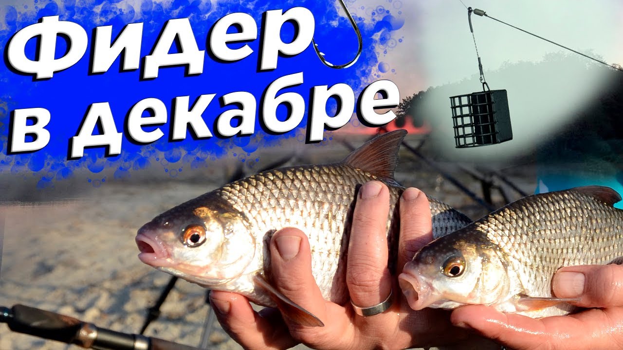 Ловля на фидер. Как ловить когда уже холодно.