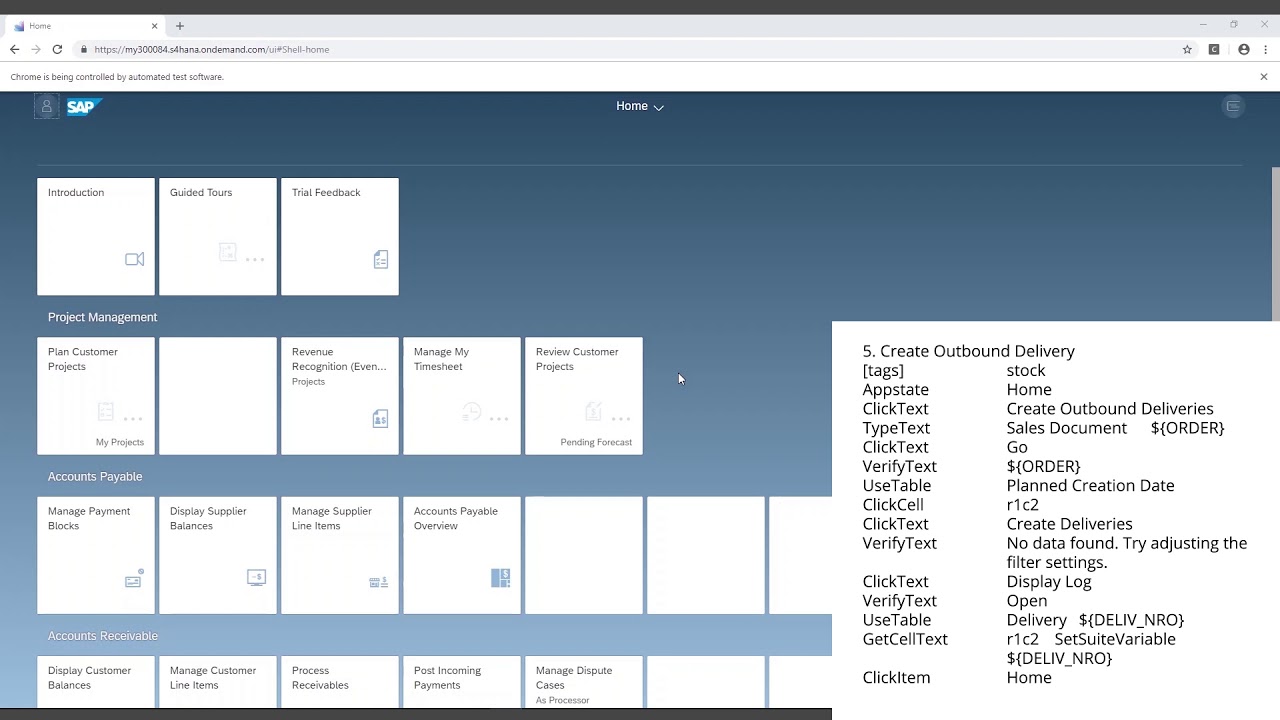This is what end-to-end test automation on SAP looks like