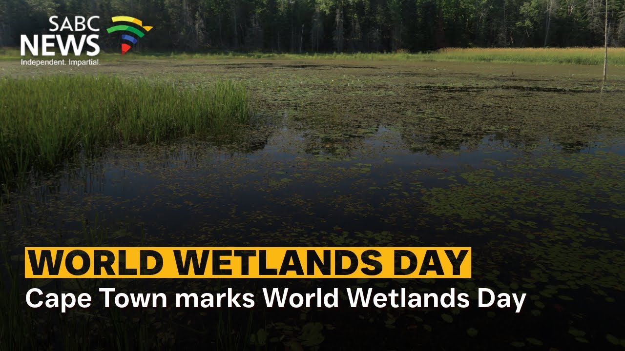 Cape Town marks World Wetlands Day