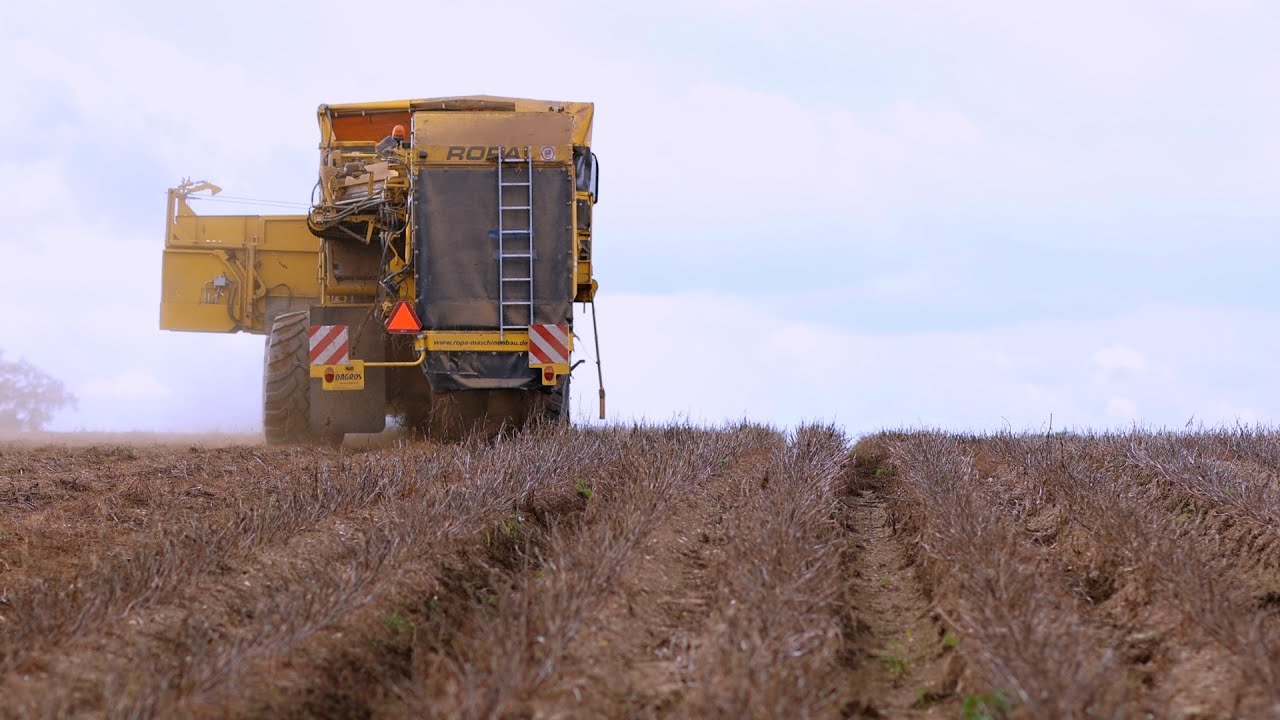 Uživí českou společnost malí farmáři? | Rok zemědělce