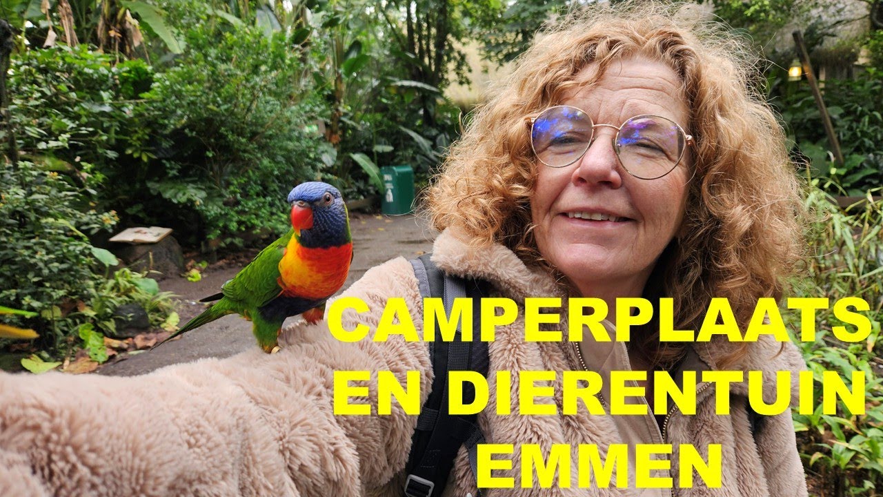 Camperplaats en dierentuin Emmen