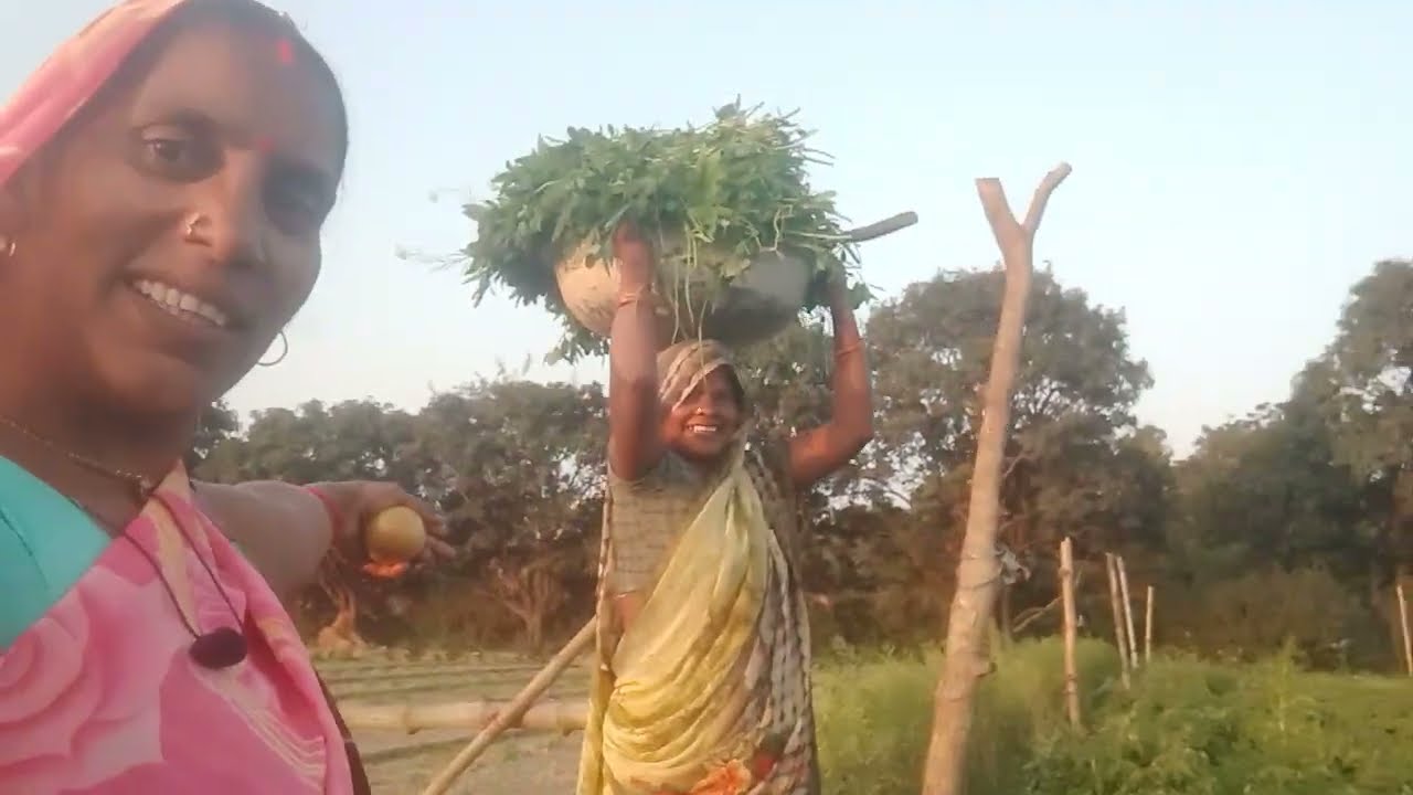 मस्ती ब्लॉक कैसा लगा अच्छा लगा तो लाइक सब्सक्राइब कमेंट कर दीजिए#वायरल वीडियो