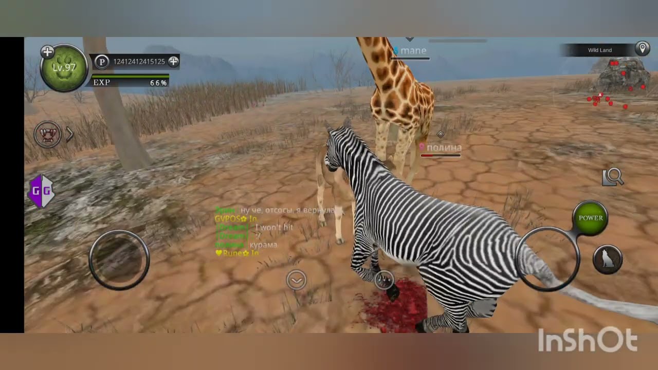 🫒Wild Animals Online🫒 New✨️IDOLscript✨️(For pos)🐾