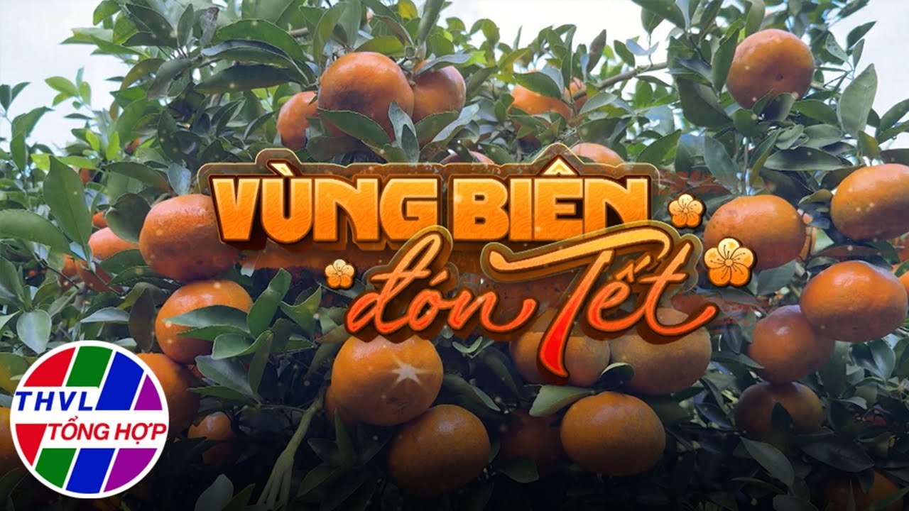 Ký sự truyền hình: Vùng biên đón tết