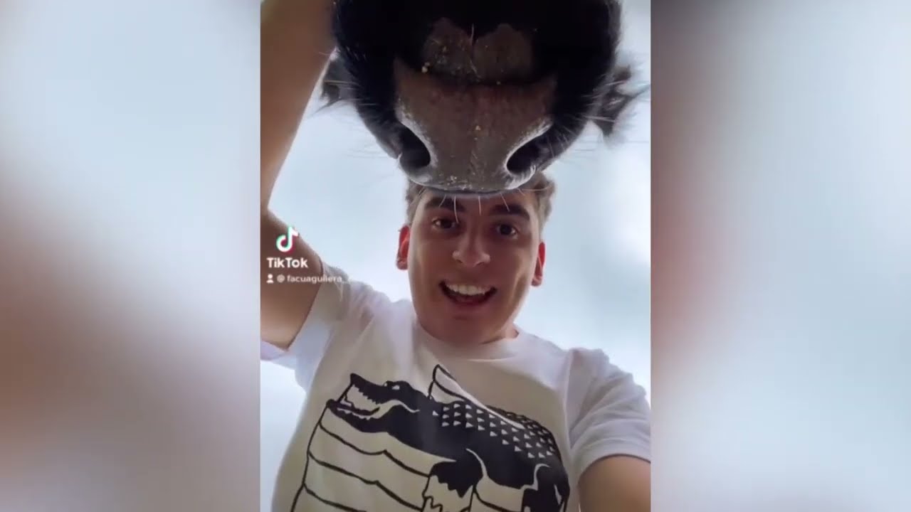 FACUNDO AGUILERA @facuaguilera90   JUNTO A SU VACA PERRO CLOTA, SON FUROR EN LAS REDES