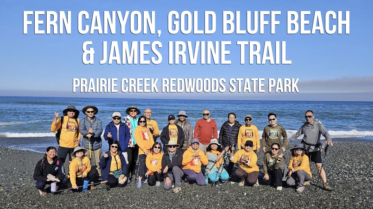 Hiking at Fern Canyon, Gold Bluff Beach, & James Irvine Trail at Prairie Creek Redwoods State Park