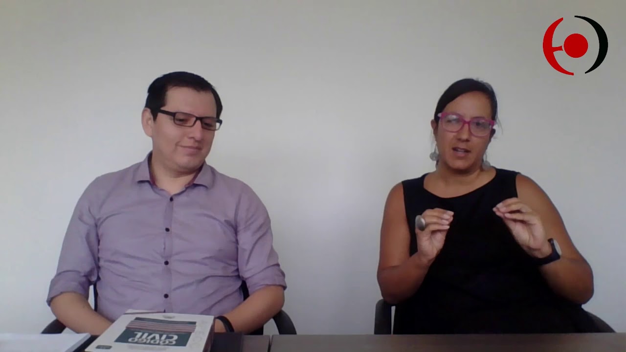 Debate sobre la capacidad jurídica en el Decreto Legislativo N° 1384: Postura y argumentos
