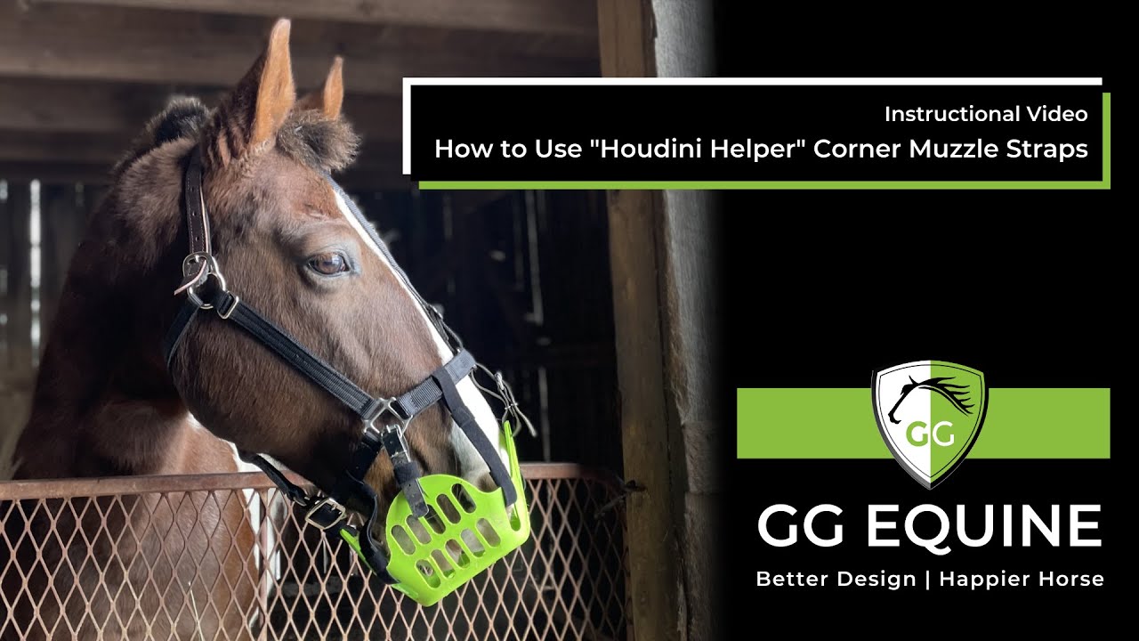 (pre-April 2023) GG Equine's "Houdini Helper" Hook 'n' Loop Corner Straps