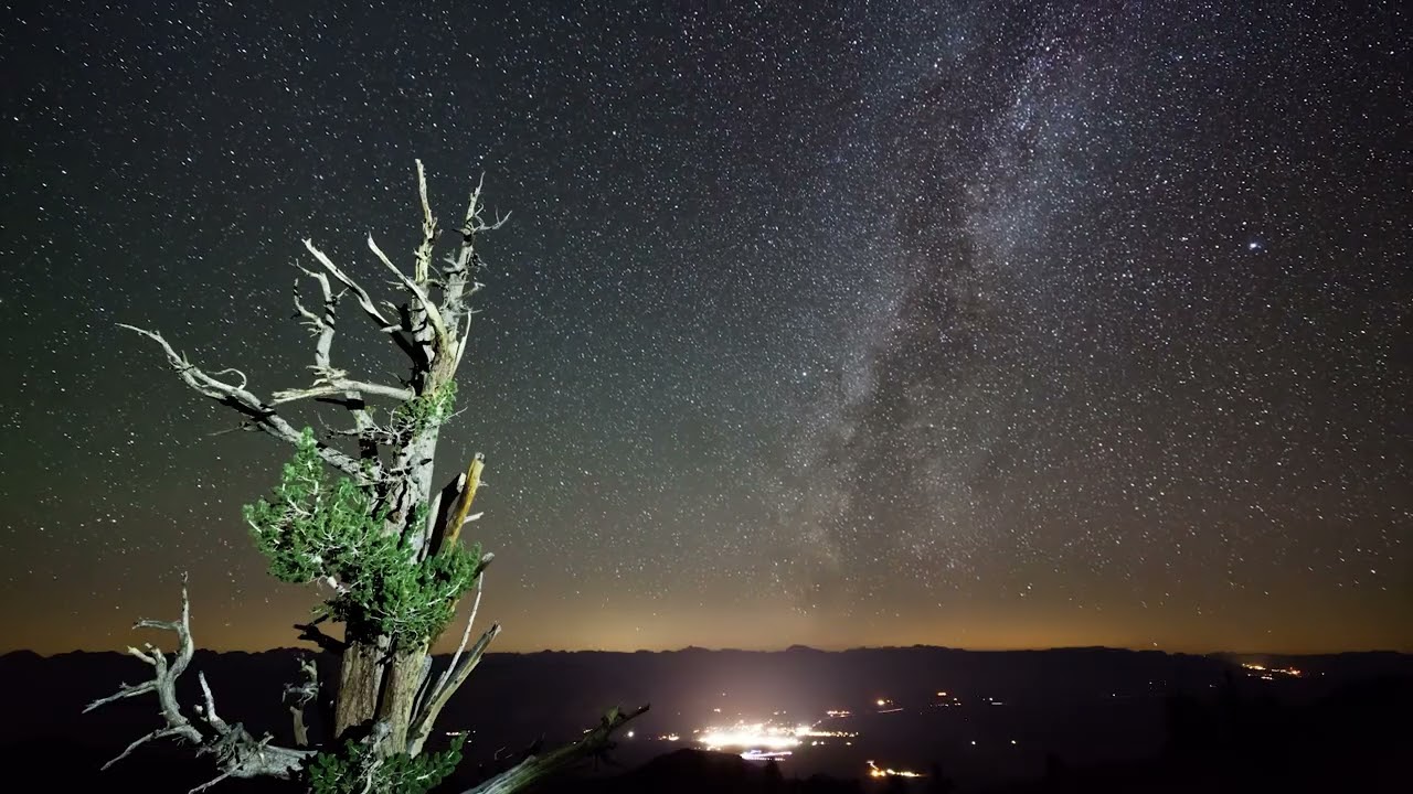 Des McMahon, Korey Riker, Julien Lane - Hindsight  (Manikin Remix)