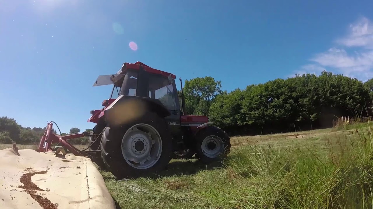 Case IHC 844XL im Mäh Einsatz mit Krone AM 282! [Heuernte #1]