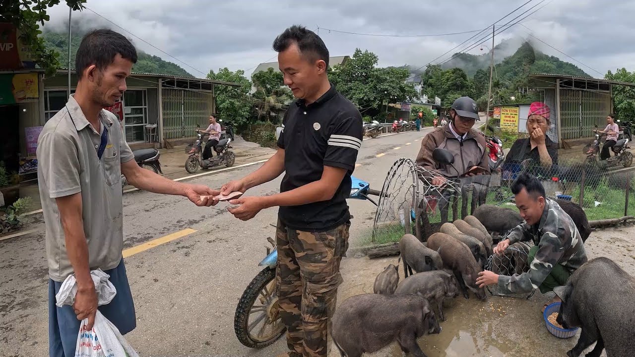 Mang lợn ra chợ bán kiếm hơn 7 triệu đồng, cuộc sống tự nhiên