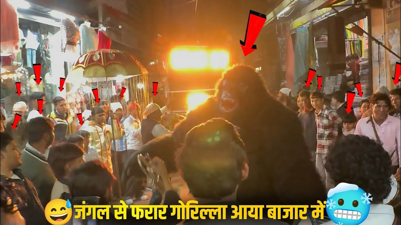 गोरिल्ला vlog भी देख लो 😂 | गोरिल्ला dance देख लिया आज 😅 | #trending #viral 