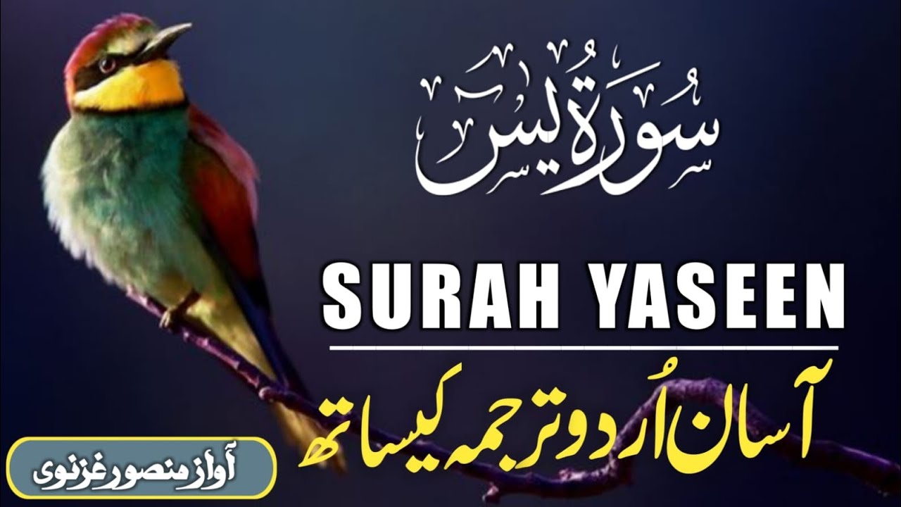 Surah Yaseen With Urdu Translation By Qari Mansoor Ghaznawi I Urdu And Hindi Tarjuma