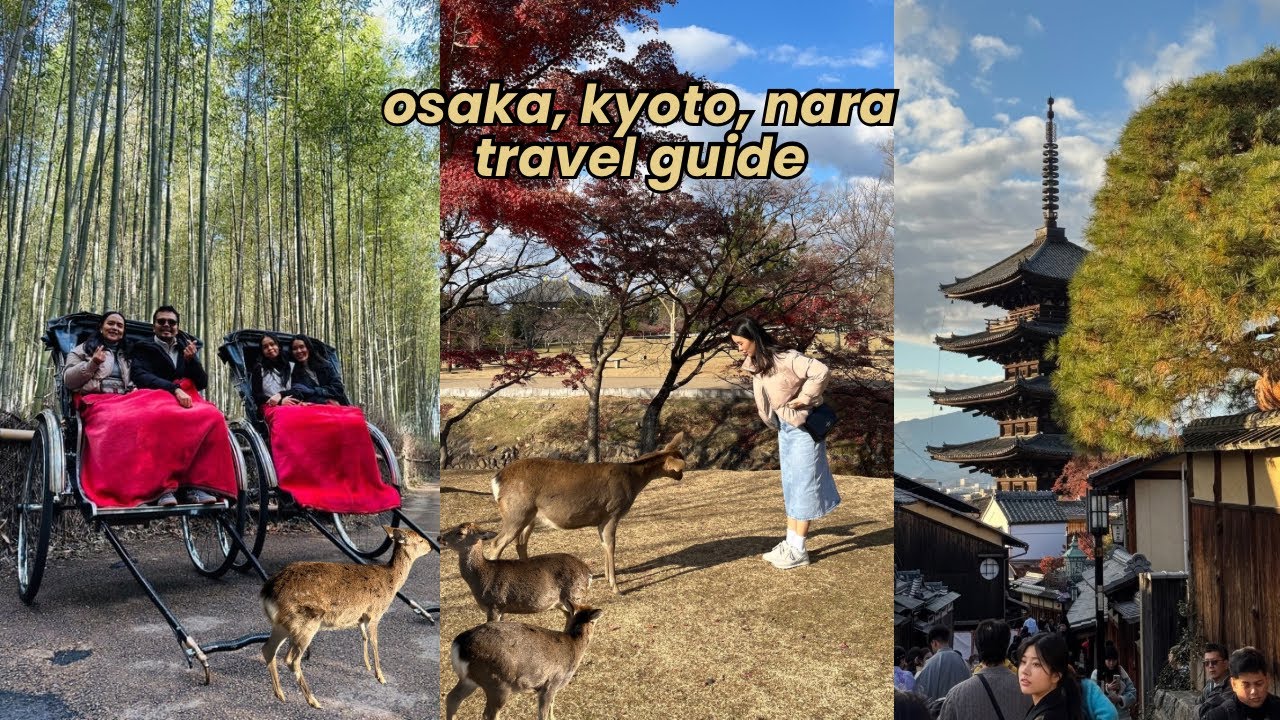 KYOTO & NARA DAY TOUR FROM OSAKA VLOG 🦌  Arashiyama Bamboo Forest, Riding a Rickshaw, Nara Park