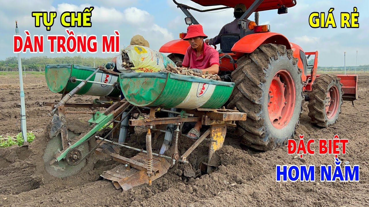 Nông Dân Tự Chế Dàn Trồng Mì Hom Nằm Hàng Đôi Hiệu Quả Cao Độc Lạ Ở Tây Ninh, Thiện Vũ TV