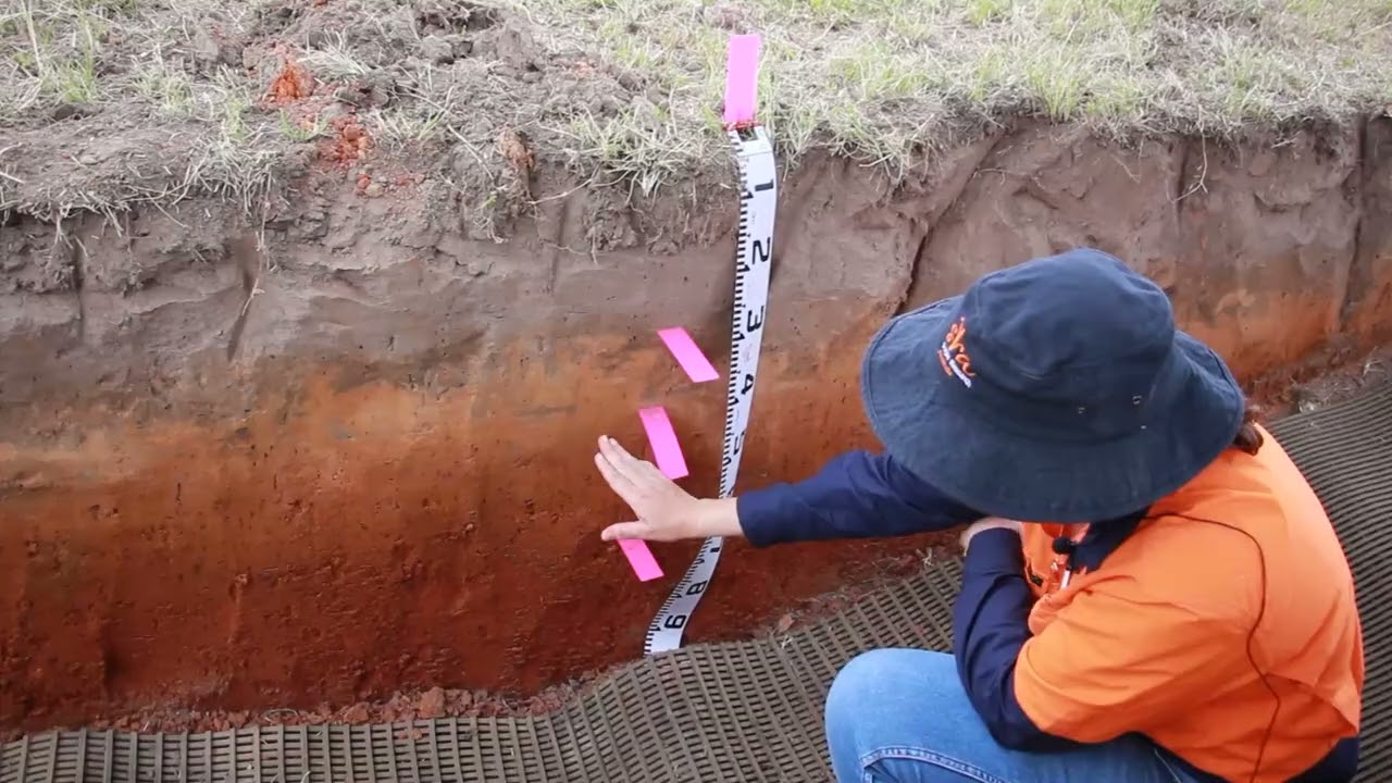 What can sugarcane growers learn from the layers in a soil pit?