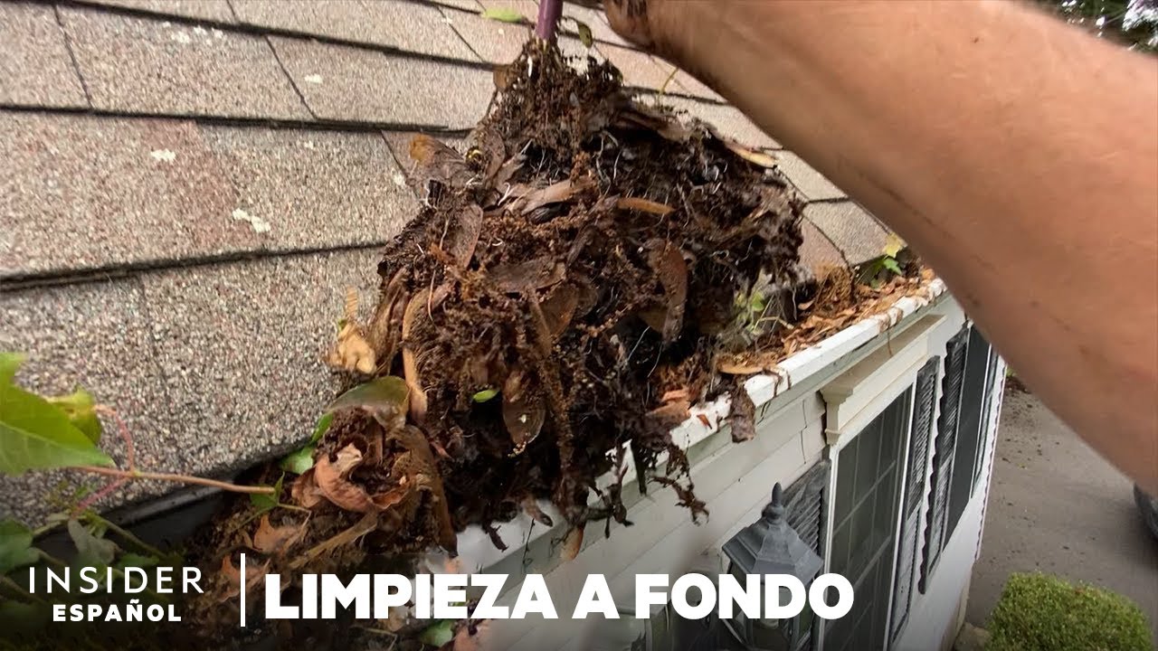 Cómo se limpian profundamente las canaletas obstruidas | Limpieza a fondo | Insider Español