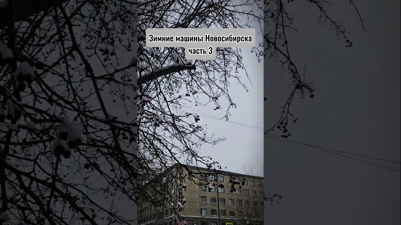 Зимние машины Новосибирска Ч.3 #новосибирск #2025 #automobile #cartok #nsk #гудман #площадьленина