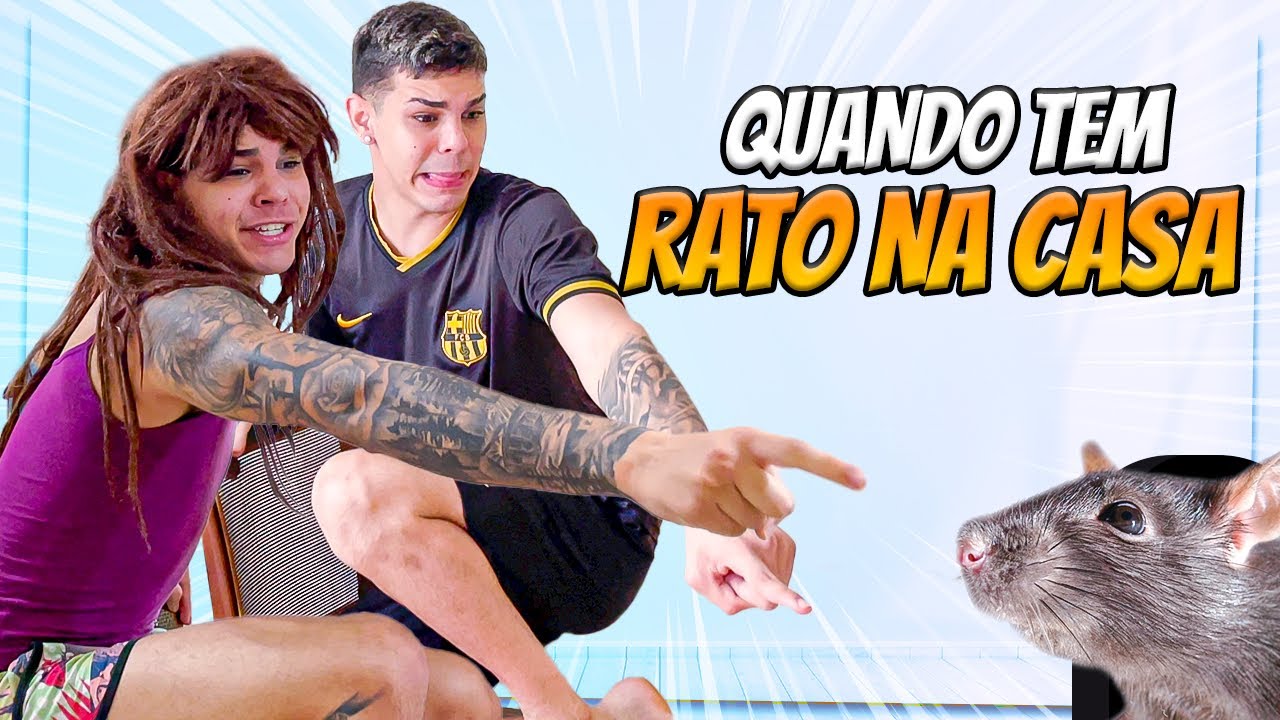 QUANDO TEM RATO NA CASA