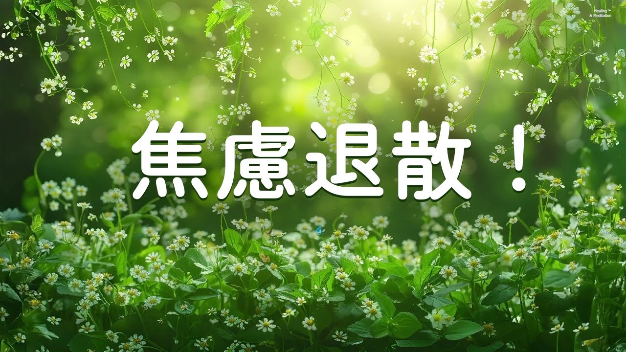 【輕音樂〜焦慮退散！ 】 人生沒那麼難，有音樂陪伴就夠浪漫 - 要減壓，有療癒、安神助眠、純音樂無廣告、早晨音樂