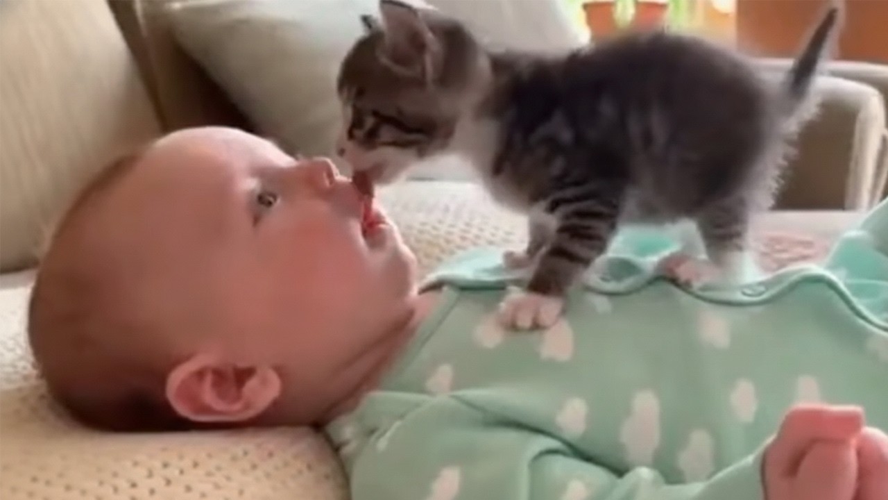The Cutest Baby & Kitten Cuddles Ever Caught on Camera 💕