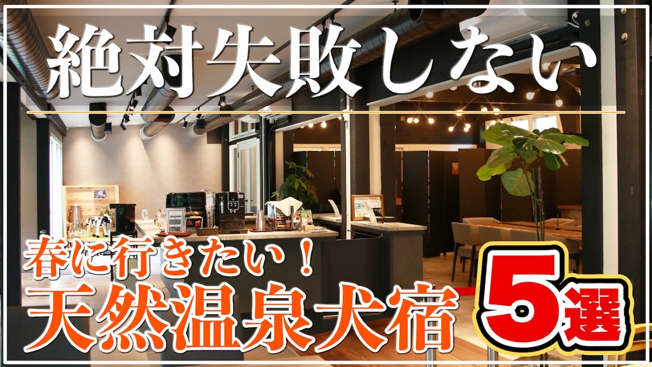 【犬と宿泊&旅行】春に行きたい！天然温泉を楽しめる犬宿５選！絶対失敗しないおすすめのホテル・宿・旅館※実体験に基づく本音レビュー！静岡／千葉／滋賀／栃木／神奈川（旅する柴犬）