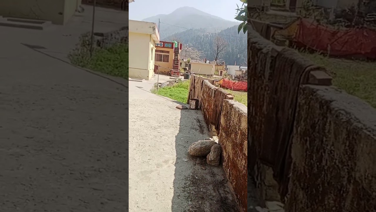 4 मार्च 2026