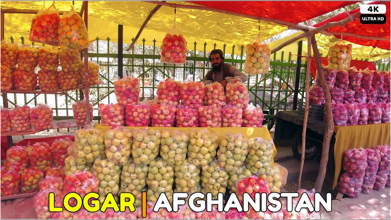 Logar Province | Afghanistan | 13 September 2021 | 4K