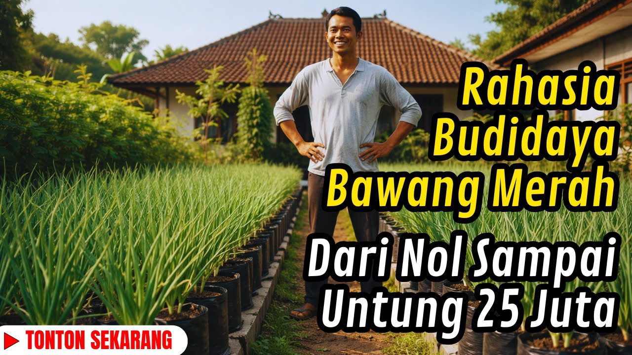 Luar Biasa‼️Halaman Rumah Ini Hasilkan 25 Juta dari Bawang Merah! Begini Caranya!