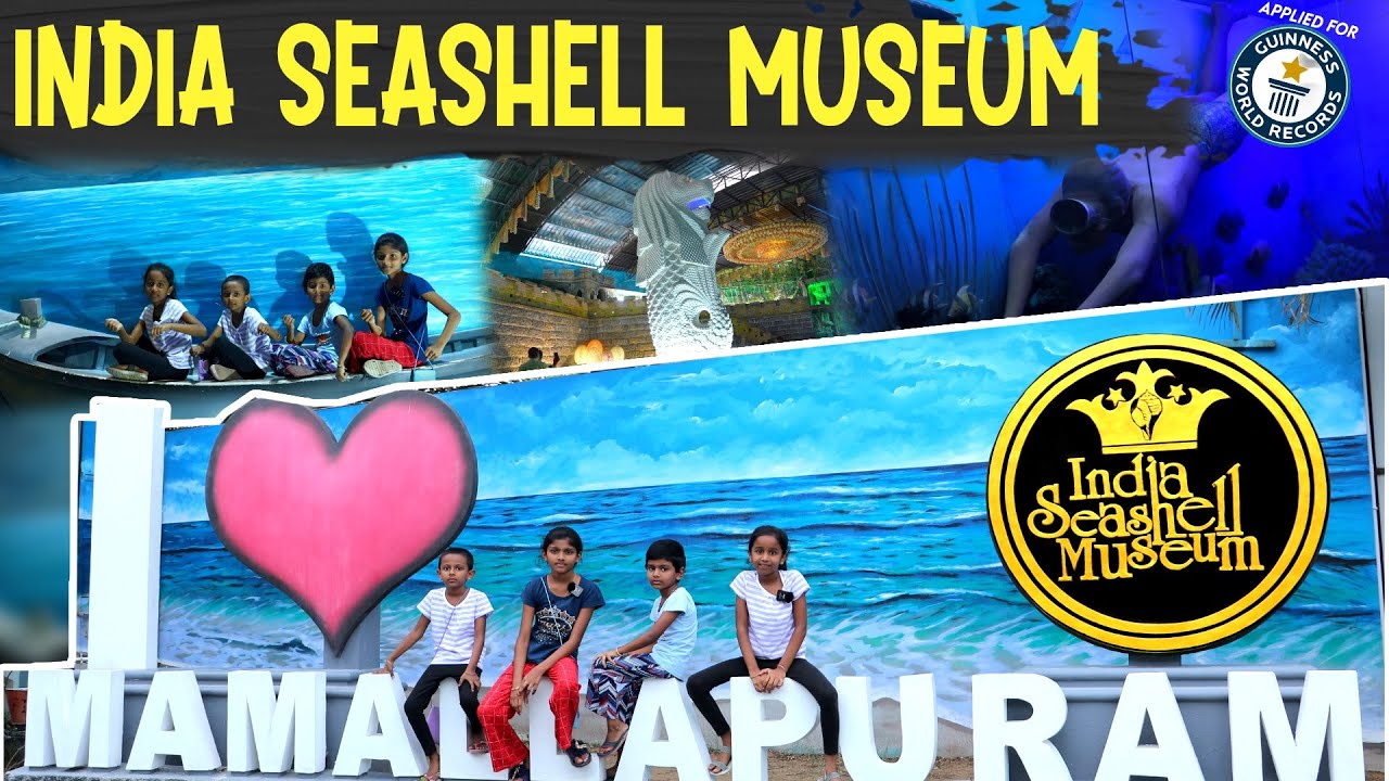 World's Largest Seashell Museum 🐚 I India Seashell Museum 🌊 I Ini's Galataas