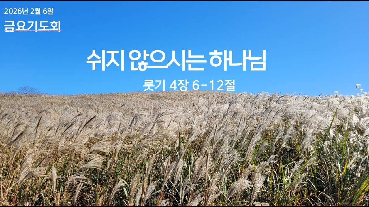 담뜻교회 2026년 02월 06일 금요기도회 - 쉬지 않으시는 하나님 | 우광민 목사